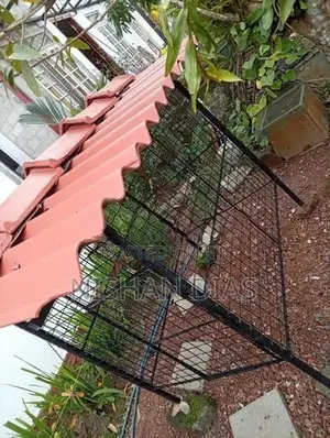 Dog Cage