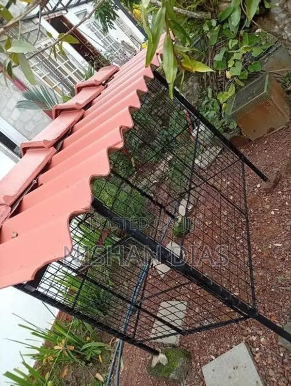 Dog Cage