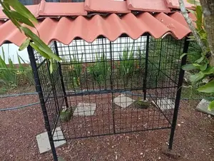 Dog Cage