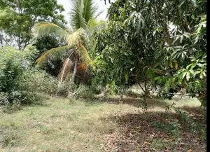 Land for Sale Batticaloa