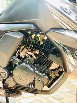 Yamaha FZs V2 2019