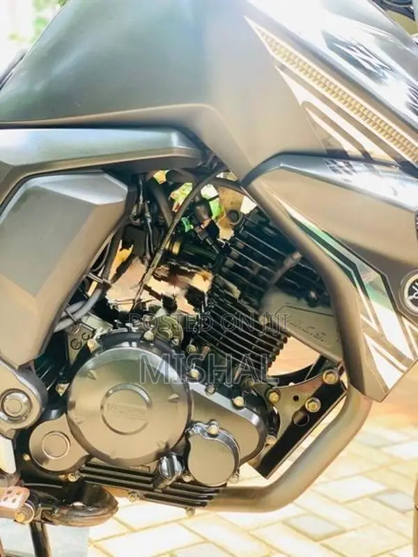 Yamaha FZs V2 2019
