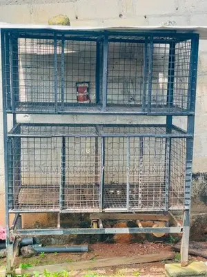 Dog House