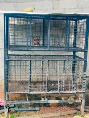 Dog House