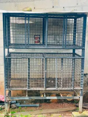 Dog House