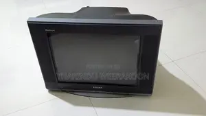 Singer TV