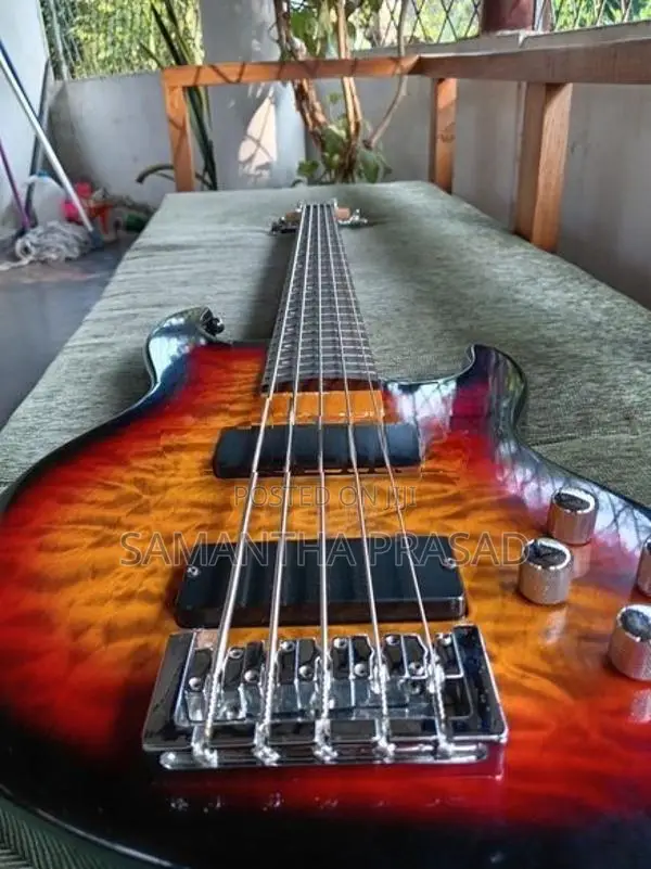 Bass guitar
