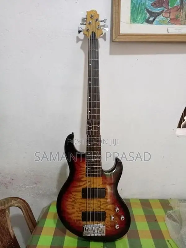 Bass guitar