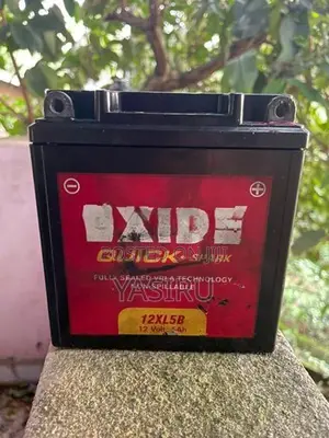 Exide Battery