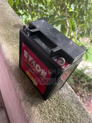 Exide Battery