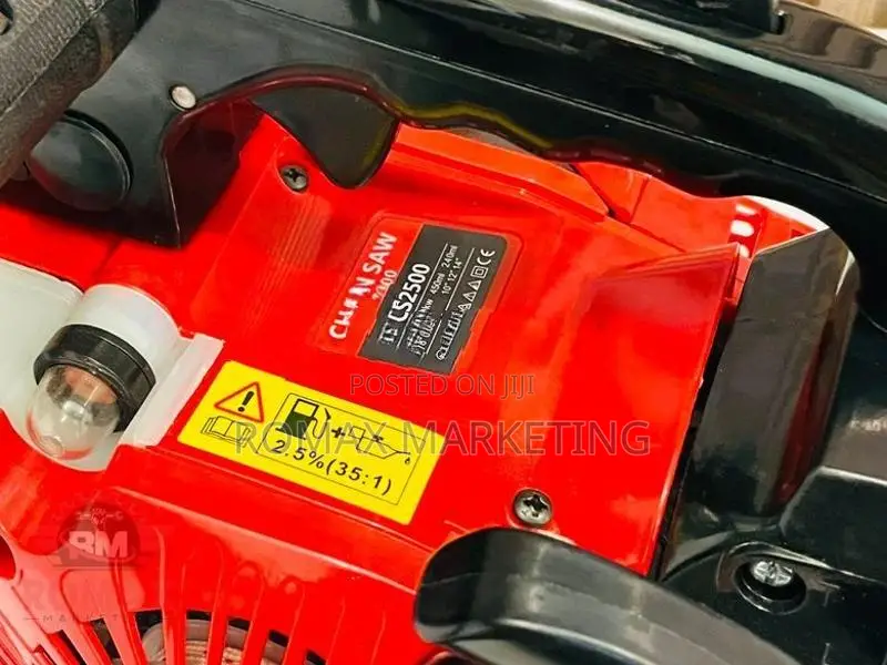 Petrol Chain Saw Cs2500 12"