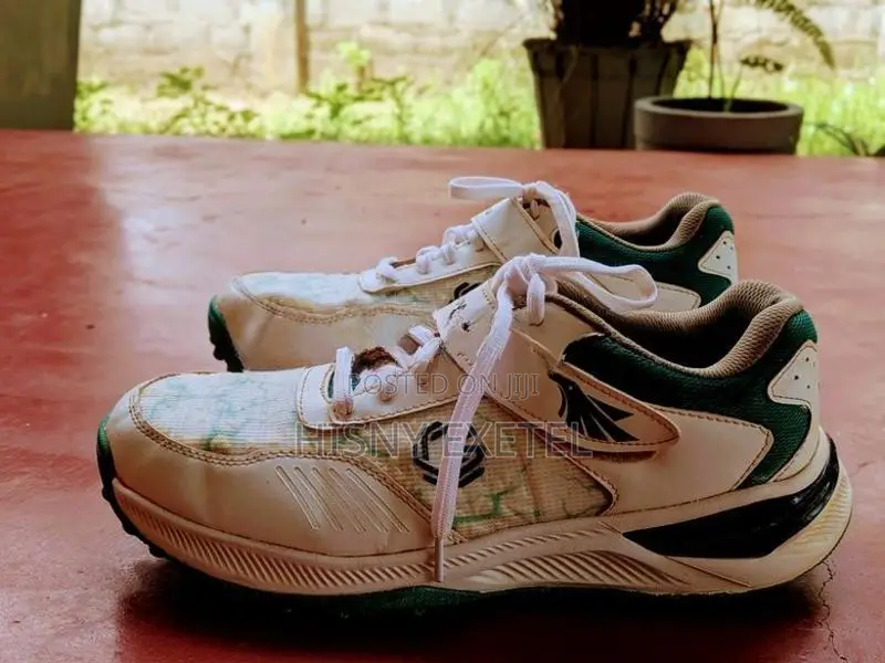 Sports Shoe