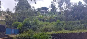 House for Sale with Land Nuwara Eliya