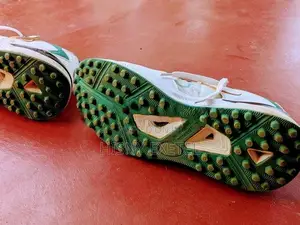 Sports Shoe