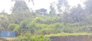 House for Sale with Land Nuwara Eliya