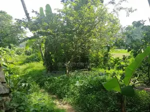 90 Perch Land for Sale Watareka Padukka