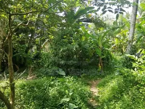 90 Perch Land for Sale Watareka Padukka