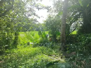 90 Perch Land for Sale Watareka Padukka