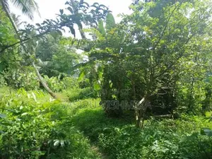 90 Perch Land for Sale Watareka Padukka
