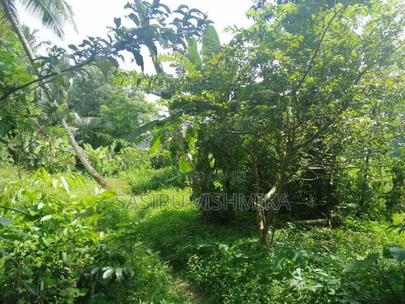 90 Perch Land for Sale Watareka Padukka
