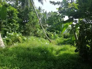 90 Perch Land for Sale Watareka Padukka