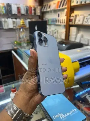 Apple iPhone 13 Pro Max (Used)