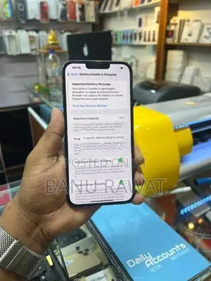Apple iPhone 13 Pro Max (Used)