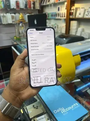 Apple iPhone 13 Pro Max (Used)