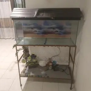 Fish Tank