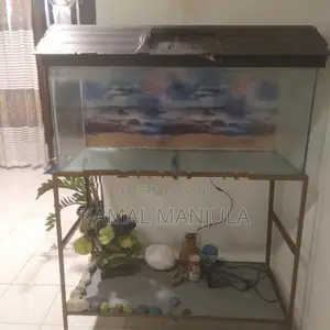Fish Tank