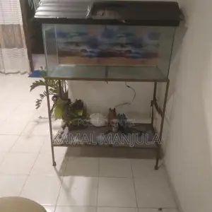 Fish Tank