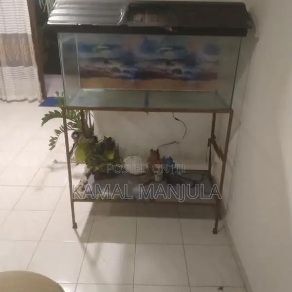 Fish Tank