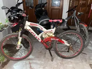 Rally Mountain Bike