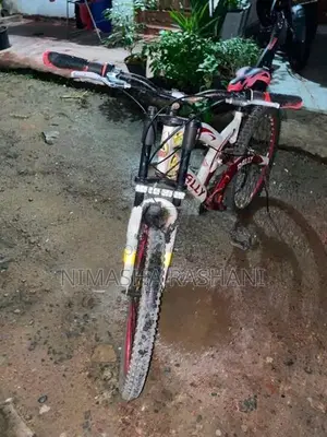 Rally Mountain Bike