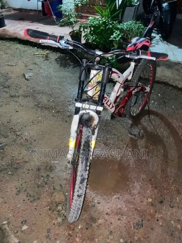 Bicycle