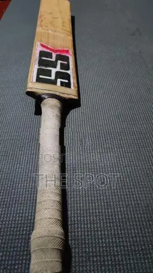SS Kashmir Willow Bat