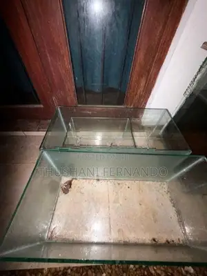 Fish Tanks