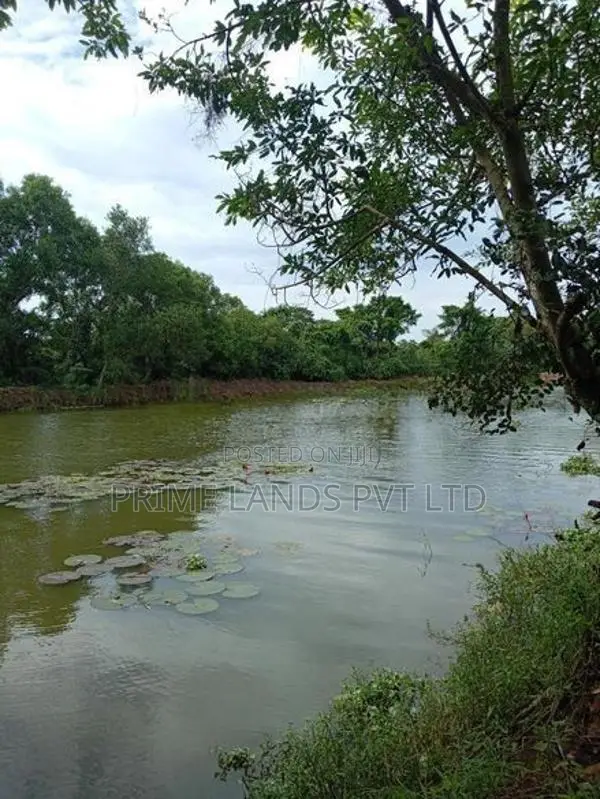 Residencial Land for Sale in Nawala