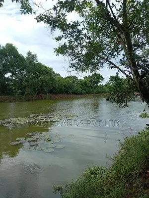 Land for Sale in Nawala