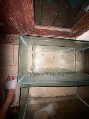 Fish Tanks