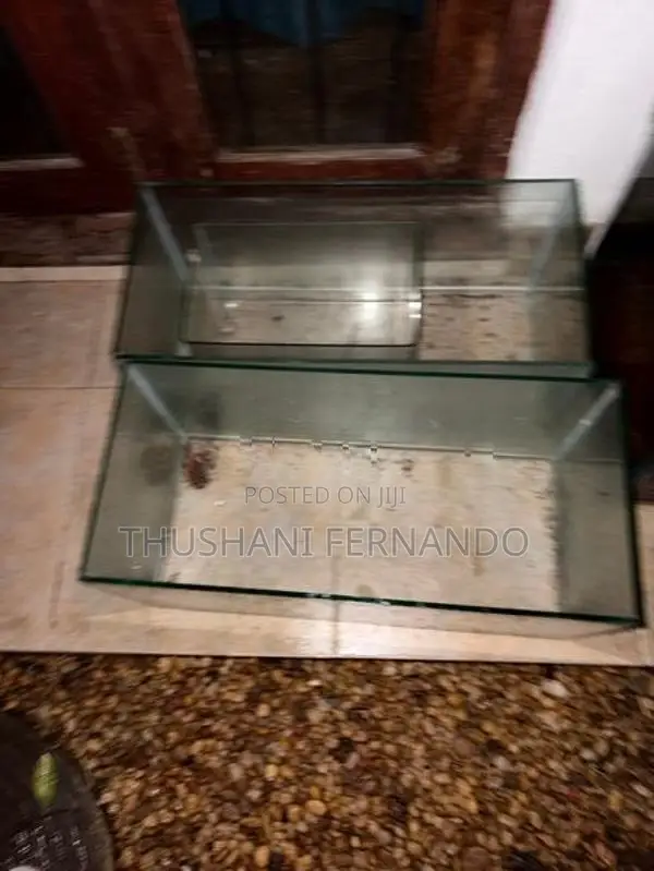 Fish Tanks