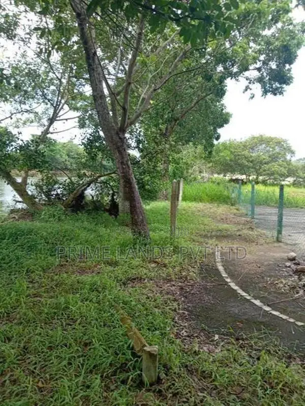 Exclusive Land Plot for Sale in Nawala