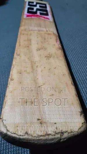 SS Kashmir Willow Bat