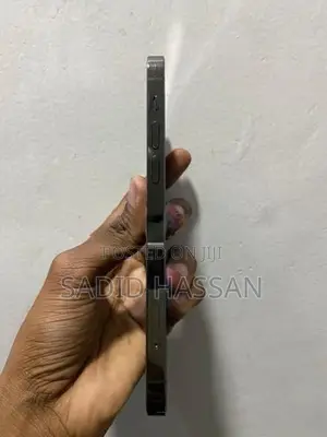 Apple iPhone 12 Pro 256GB (Used)