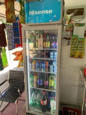 Hisense Bottle Cooler 282L