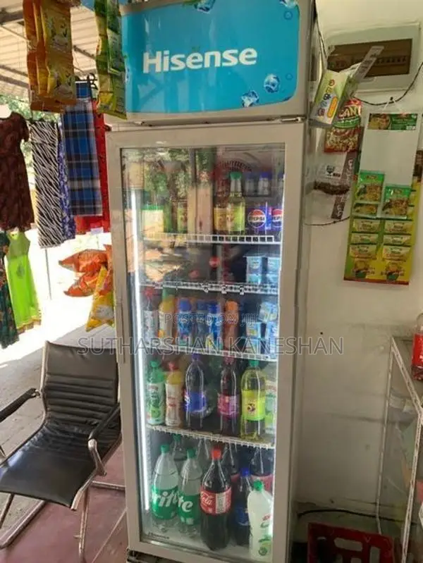 Hisense Bottle Cooler 282L