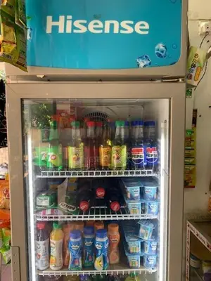 Hisense Bottle Cooler 282L