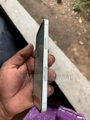 Apple iPhone 12 (Used)