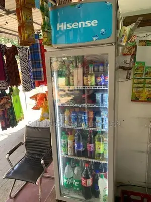 Hisense Bottle Cooler 282L