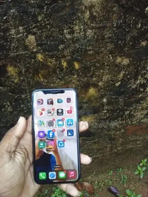 Apple iPhone X (Used)
